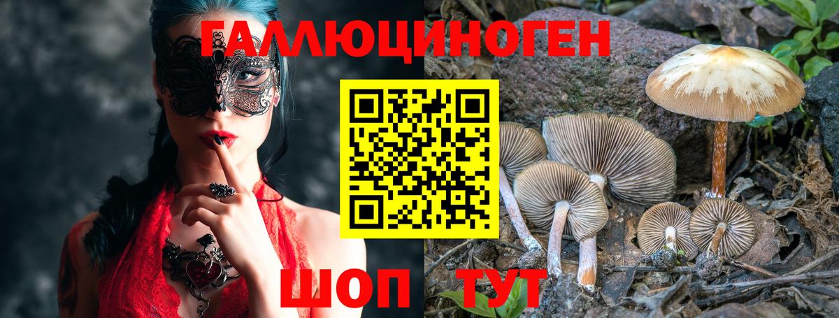 Псилоцибиновые грибы GOLDEN TEACHER  Галлюциногенные грибы MAGIC MUSHROOMS  Люберцы  Вход с VPN 